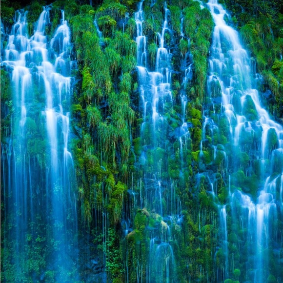 🌺🌸🌼 Like this and be notified when I’m going live 🌼🌸🌺 - Picture 7 of 11